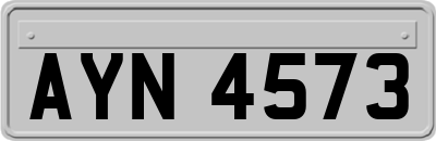 AYN4573