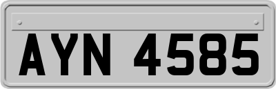 AYN4585
