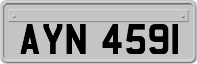 AYN4591