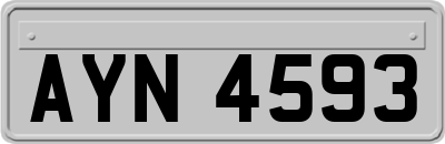 AYN4593