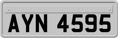 AYN4595