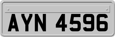 AYN4596
