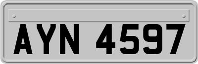 AYN4597