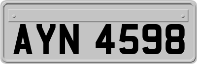 AYN4598