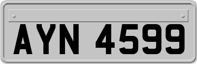 AYN4599