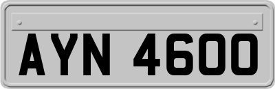 AYN4600