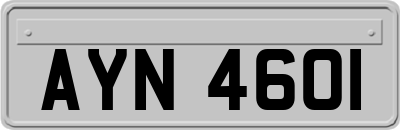 AYN4601