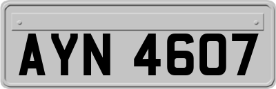 AYN4607