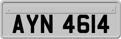 AYN4614