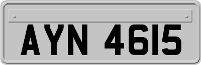 AYN4615