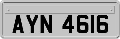 AYN4616