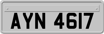 AYN4617