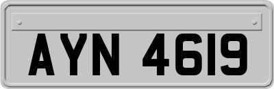 AYN4619