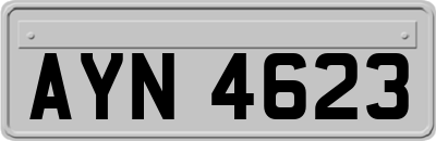 AYN4623