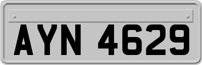 AYN4629