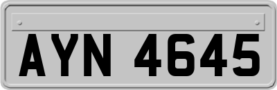 AYN4645