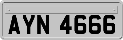 AYN4666