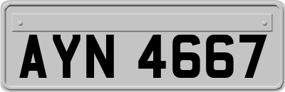 AYN4667