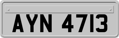 AYN4713
