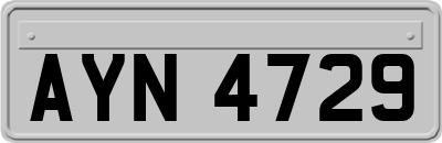 AYN4729
