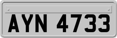 AYN4733