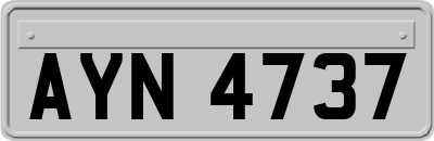 AYN4737