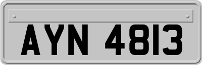 AYN4813
