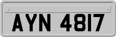 AYN4817