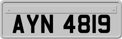 AYN4819