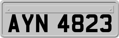 AYN4823