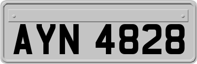 AYN4828