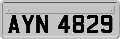 AYN4829