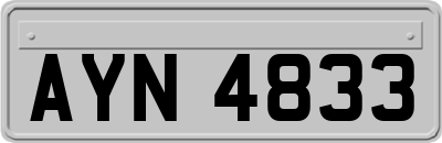 AYN4833