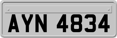 AYN4834