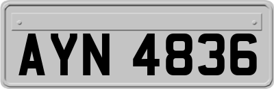 AYN4836