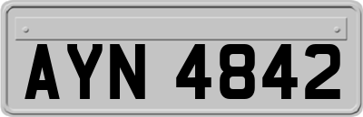 AYN4842
