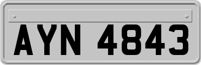 AYN4843