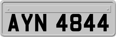 AYN4844
