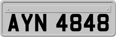AYN4848