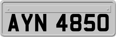 AYN4850