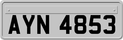 AYN4853