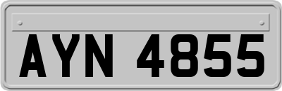 AYN4855