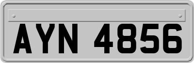 AYN4856