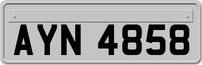 AYN4858