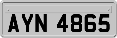 AYN4865