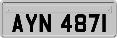 AYN4871