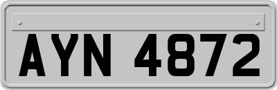 AYN4872