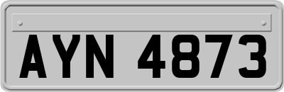 AYN4873