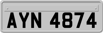 AYN4874