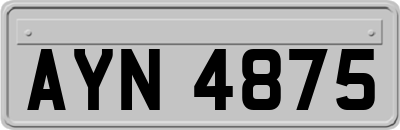 AYN4875